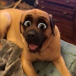 Meet your Posher, Joseph